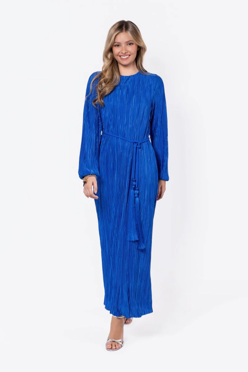 Camellia Dress (Blue) - Image 2