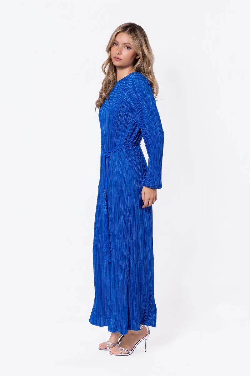 Camellia Dress (Blue) - Image 3