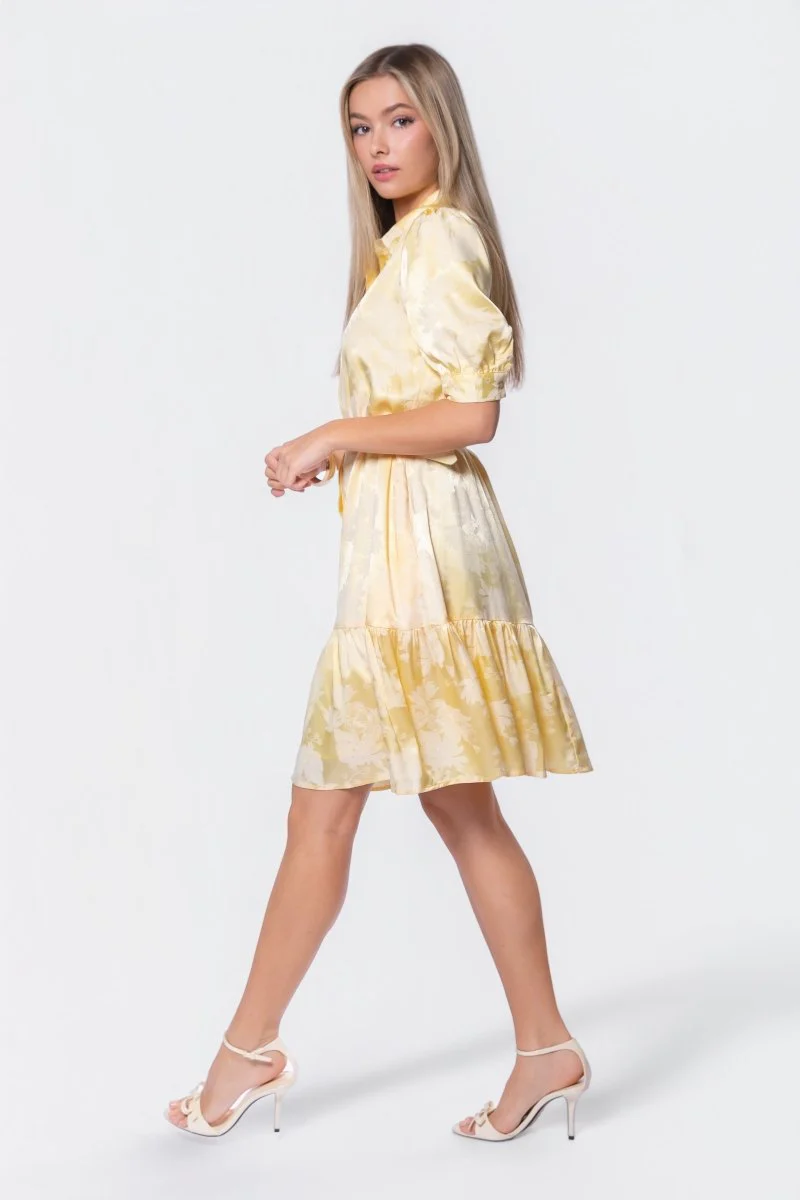 Celine Dress 39" (Butter Yellow) - Image 3