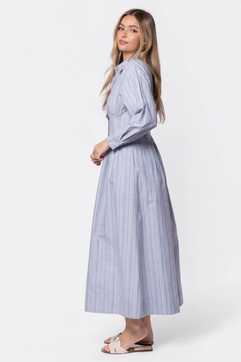 Gianna Dress (Blue Stripe) - Image 3