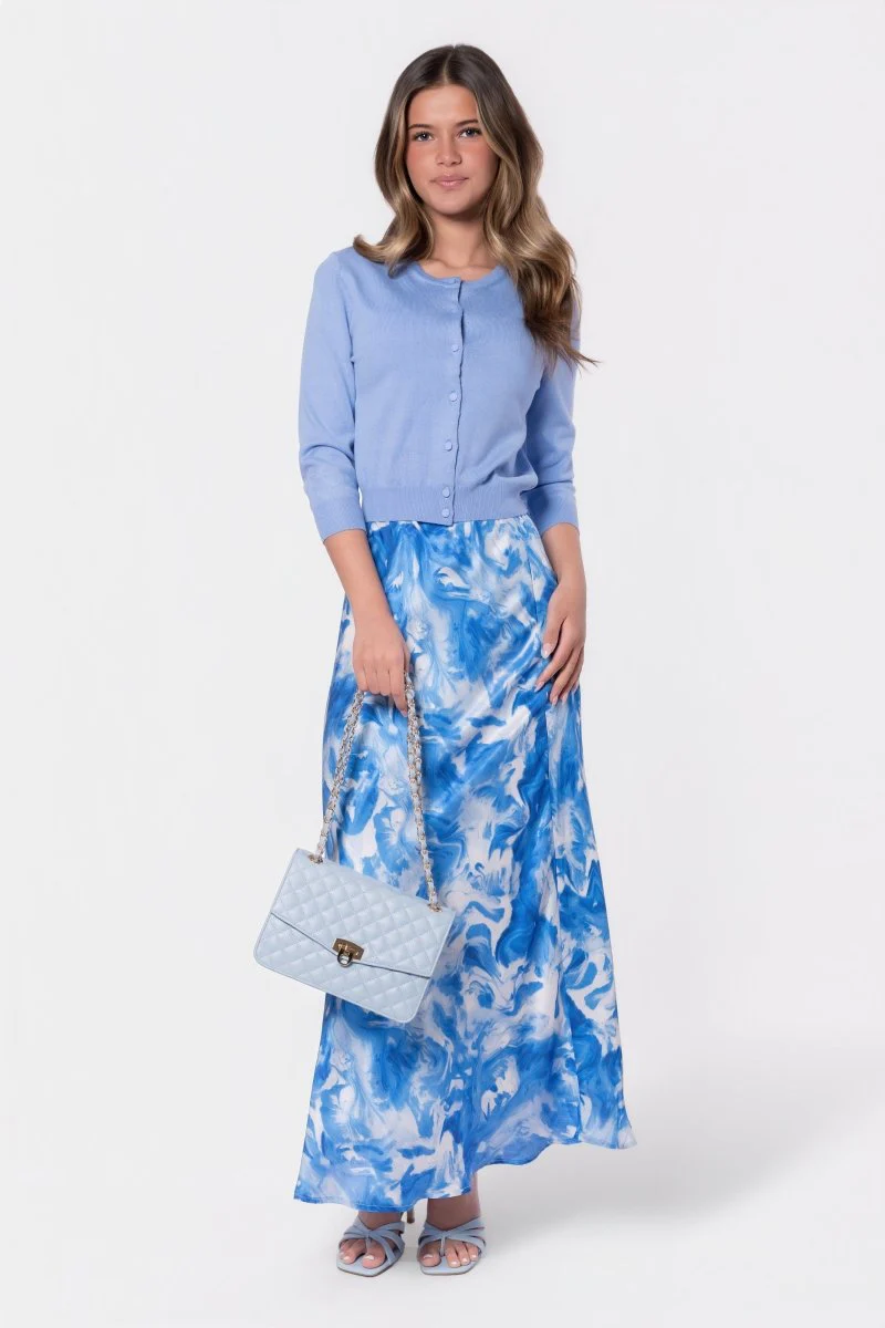 Lisa Skirt (Blue Pattern)